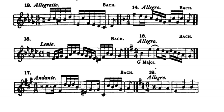 Figure 204