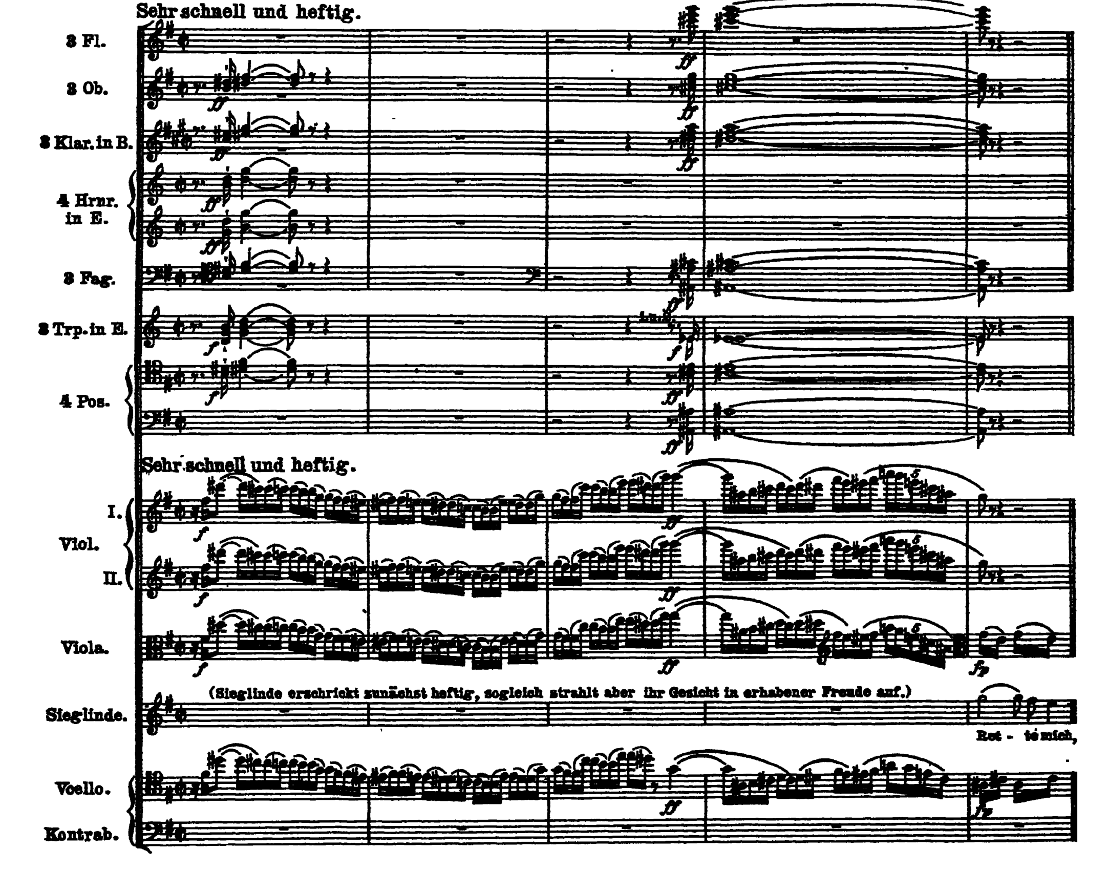 No. 18. Walkuere, Act III Wagner.
