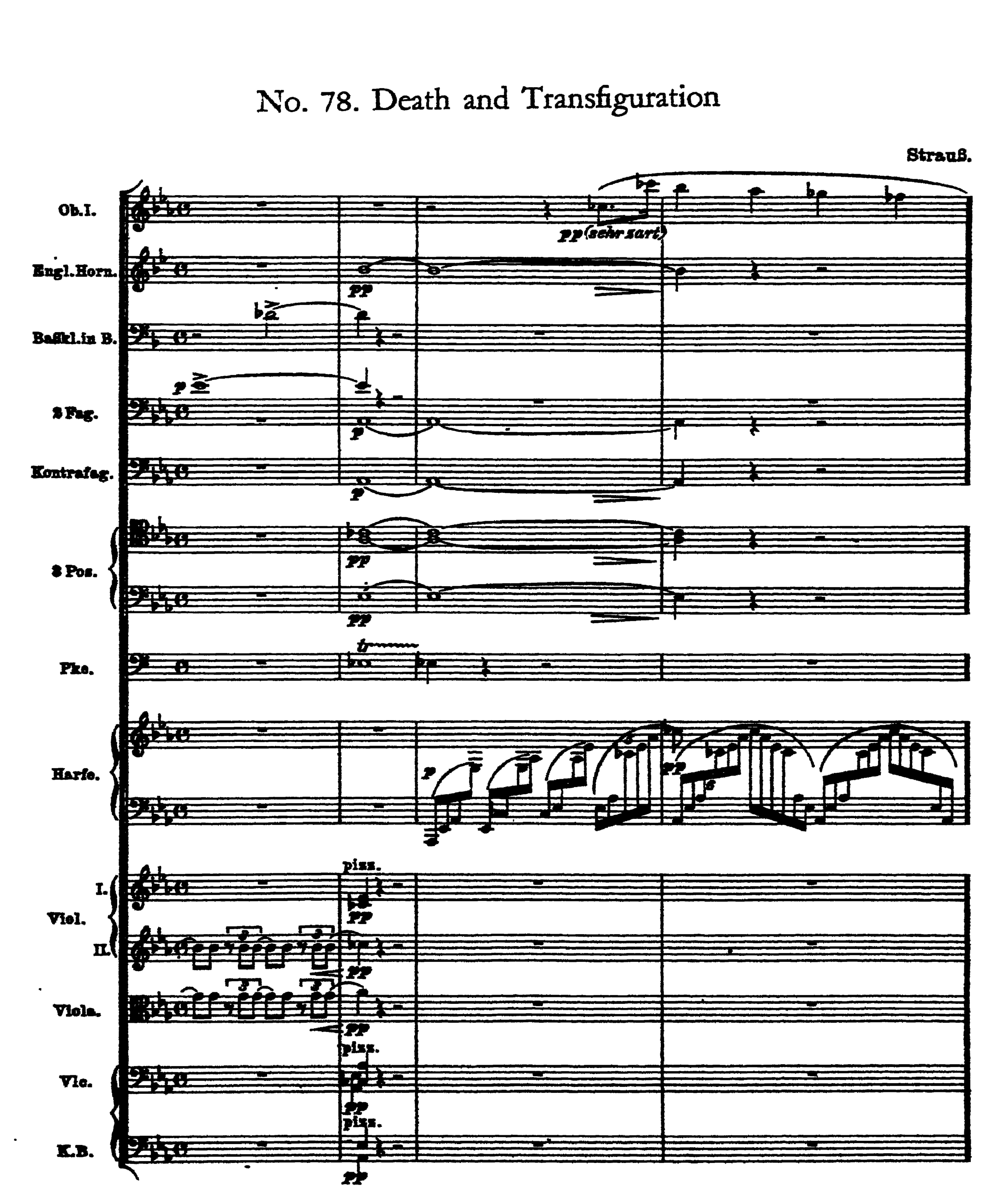 ticularly strong. It once occurred to me that in bassoon or doubie-bassoon. ‘Example 78.)
