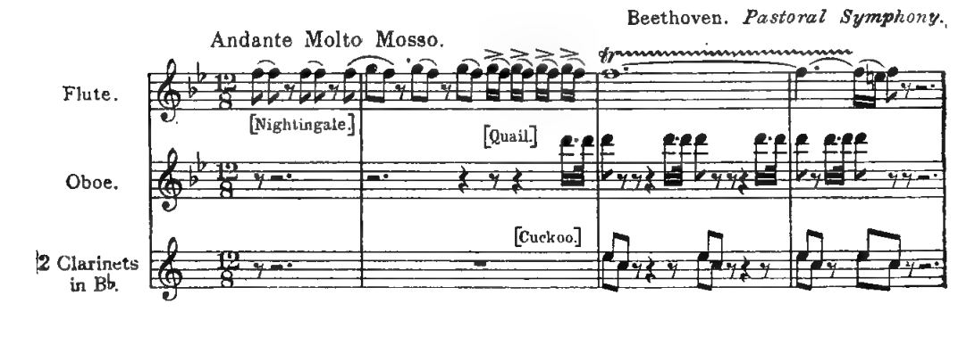 Example 204