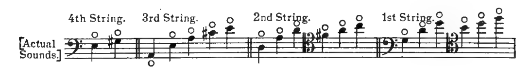 Original notation
