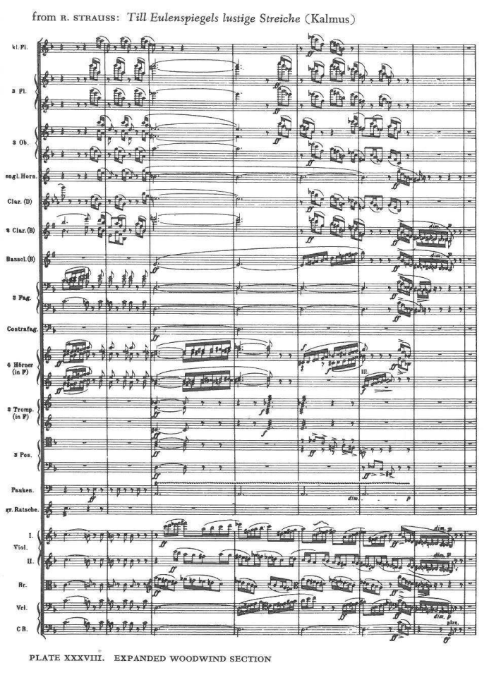 from R. STRAUSS: Till Eulenspiegels lustige Streiche (Kalmus) — kl. Fl., 3 Fl., 3 Ob., engl. Horn, Clar. (D), 2 Clar. (B), Bassel. (B), 3 Fag., Contrafag., 4 Hö