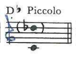 D♭ Piccolo