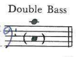 Double Bass