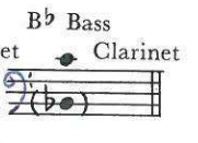 B♭ Bass Clarinet
